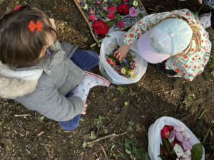 Photo de galerie - Activités créative pour les enfants. 
Dans un parc. Apprendre ce que c'est le land arts, avec la magie de la nature 