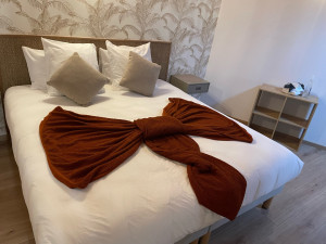 Photo de galerie - Lingerie - Repassage