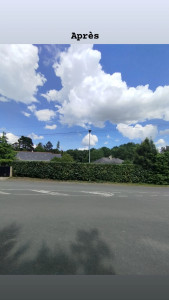 Photo de galerie - Taille de haies et d'arbustes