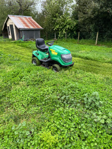 Photo de galerie - Tonte de pelouse - Débroussaillage
