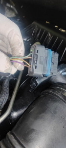 Photo de galerie - Problème dibimatre 