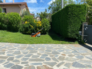 Photo de galerie - Tonte débroussaillage sans évacuation 