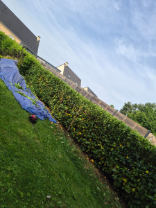 Photo de galerie - Un client satisfait :) 
