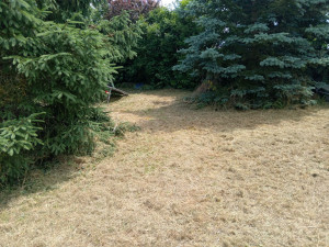 Photo de galerie - Apres