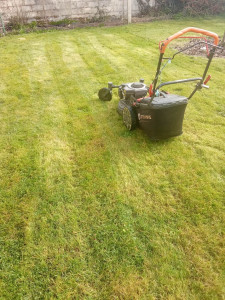 Photo de galerie - Disponible pour votre jardin 