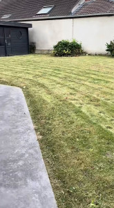 Photo de galerie - Tonte de pelouse 