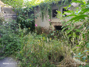 Photo de galerie - Avant débroussaillage et nettoyage !