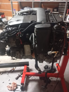 Photo de galerie - Moteur prêt a être remonté sur BMW f10 313 moteur n57d30b 