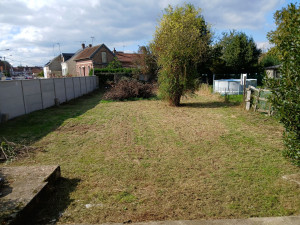 Photo de galerie - Tonte de pelouse - Débroussaillage