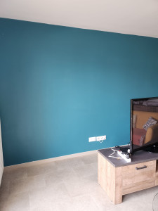 Photo de galerie - Mur couleur paon