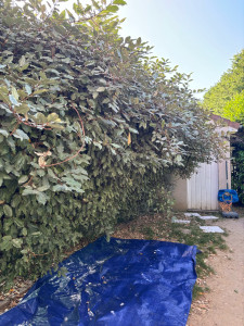 Photo de galerie - Avant intervention