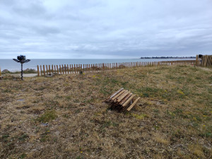 Photo de galerie - Après pose de clôture Ganivelle 