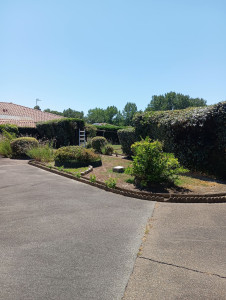 Photo de galerie - Taille 