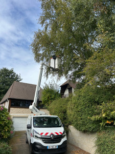 Photo de galerie - Elagage et coupe d'arbres