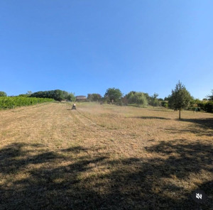 Photo de galerie - Tonte sur terrain de 4000m2