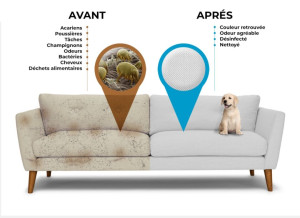 Photo de galerie - .