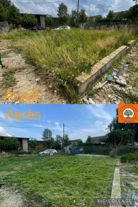 Photo de galerie - Nettoyage de terrain envahi par les herbes hautes – Avant / Après impressionnant ! ?