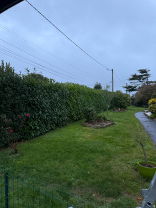 Photo de galerie - Rabattage de haie 