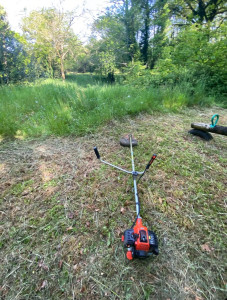 Photo de galerie - Tonte de pelouse - Débroussaillage