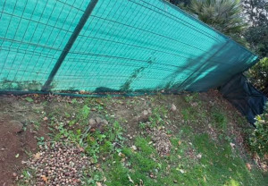 Photo de galerie - Paysagiste - Aménagement du jardin