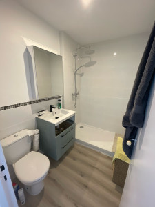 Photo de galerie - Salle de bain refait à neuf