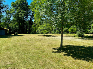 Photo de galerie - Résultat après tonte, terrain propre et entretenu
