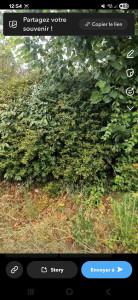 Photo de galerie - Paysagiste - Aménagement du jardin