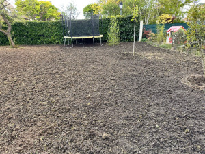 Photo de galerie - Paysagiste - Aménagement du jardin