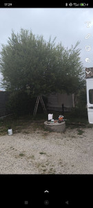 Photo de galerie - Avant 