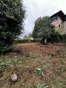 Photo de galerie - Tonte de pelouse - Débroussaillage