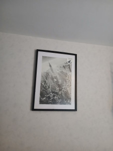 Photo de galerie - J'ai effectué les installations de tableaux chez des particuliers