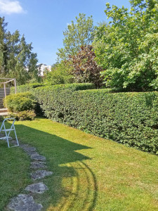 Photo de galerie - Jardinier 