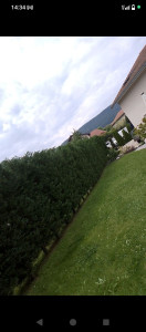 Photo de galerie - Jardinier