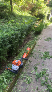 Photo de galerie - Taille de haies et d'arbustes