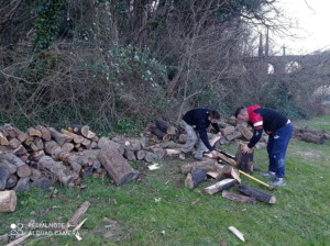 Photo de galerie - Coupe de bois 