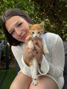 Photo de galerie - Petit chaton