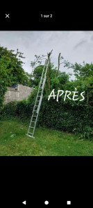 Photo de galerie - Elagage et coupe d'arbres