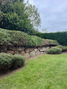 Photo de galerie - Paysagiste - Aménagement du jardin
