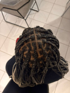 Photo de galerie - Braids 