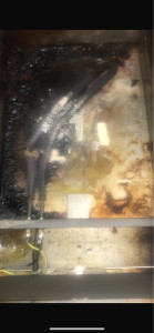 Photo de galerie - Résistance HS 