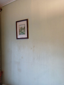 Photo de galerie - Plâtrerie - Murs - Plafonds