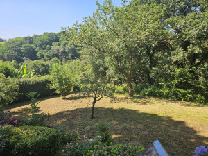 Photo de galerie - Tonte de pelouse - Débroussaillage