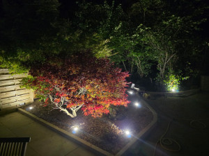 Photo de galerie - Paysagiste - Aménagement du jardin
