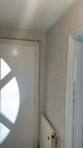 Photo de galerie - Bandes à joints, ponçage, impression et pose de papier peint 