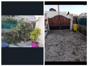 Photo de galerie - Débarras végétaux 