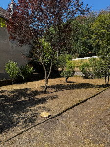 Photo de galerie - Après défrichage et abattage d’arbres