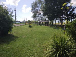 Photo de galerie - Tonte de pelouse - Débroussaillage