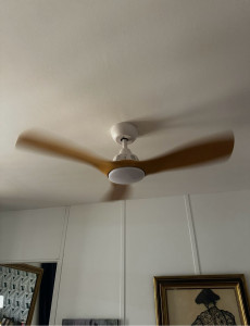 Photo de galerie - Ventilateur plafond