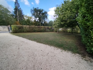 Photo de galerie - Réduction haie avec tonte et nettoyage complet de la cour
Réalisation effectuée dans un gîte à Cheverny 