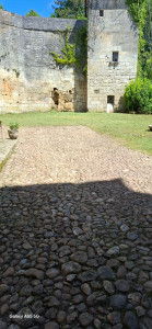 Photo de galerie - Nettoyage et deserbage de sol en pisé